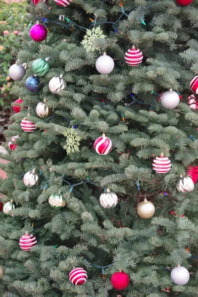 Vue Partielle Plein Cadre Sapin Noël Décoré Dans Parc Public — Photo