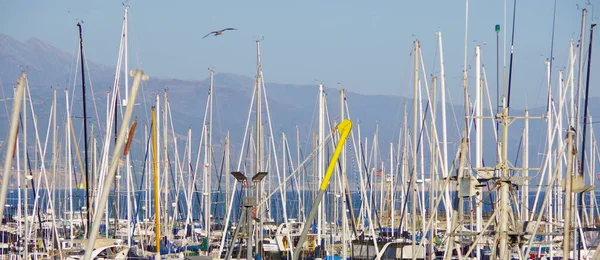 Vista Panorámica Mástiles Yates Barcos Pesca Puerto Deportivo Con Una — Foto de Stock