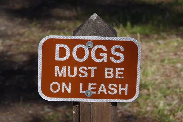 Cães Devem Estar Sinal Leash Postado Parque Público — Fotografia de Stock