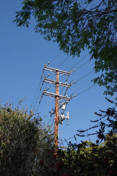 木制电塔 周围有树 头顶蓝天 — 图库照片
