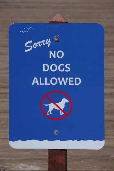 Firmar Perros Permitidos Publicado Una Playa —  Fotos de Stock