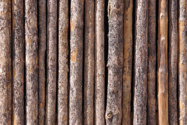 Тесная Стена Натуральных Прямых Деревьев Ветвей — стоковое фото