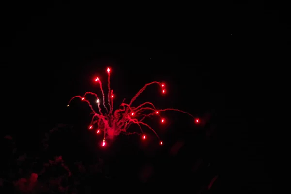 Fireworks Celebration Night Sky — Stock Photo, Image