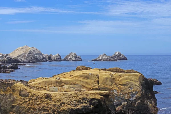 California Pacific Ocean Coast Point Lobos Sunny Summer Day — ストック写真