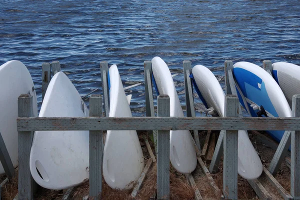 Windsurfing Boards Stored Lake Shore — Zdjęcie stockowe