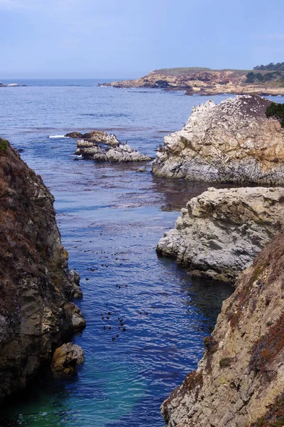 Rocky California Pacific Ocean Coast Point Lobos Summer — ストック写真