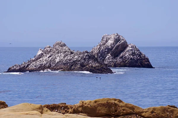 ペリカンが生息するカリフォルニア太平洋沿岸の岩の島 — ストック写真