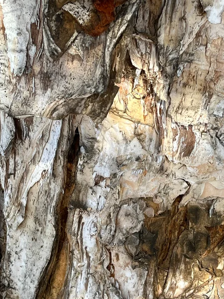 Nahaufnahme Der Rinde Eines Melaleuca Baumes — Stockfoto