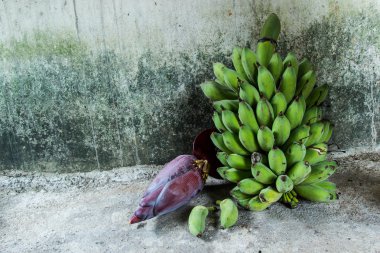 güzel taze muz şeklinde.