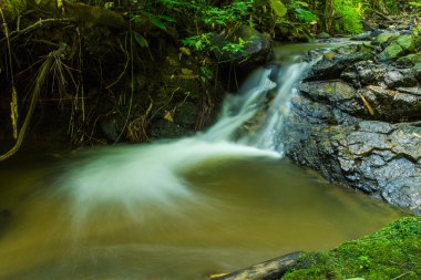 Nehrin güzel manzarası