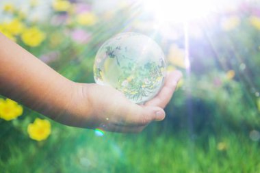 Human hands holding earth sphere crystal or sustainable globe glass with sunlight at green nature background in ecology environment forest. concept of conservation environmental, protection planet.
