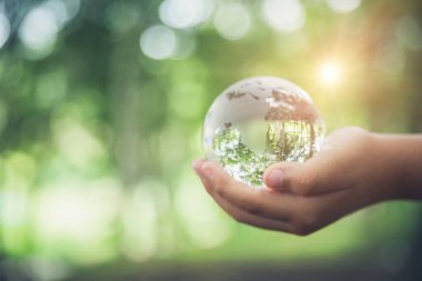 Human hands holding earth sphere crystal or sustainable globe glass with sunlight at green nature background in ecology environment forest. concept of conservation environmental, protection planet.