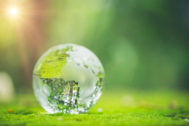 Sunlight with earth sphere crystal or sustainable globe glass on green moss nature background in ecology environment forest. concept of tree conservation environmental, protection planet eco.