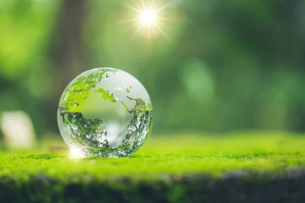 Sunlight with earth sphere crystal or sustainable globe glass on green moss nature background in ecology environment forest. concept of tree conservation environmental, protection planet eco.