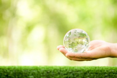 Human hand holding globe planet glass In green forest with bokeh nature lights. world environment day. concept for environment conservation, protect ecology earth and environmental eco-friendly life.