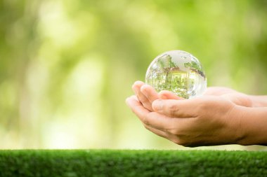 Human hand holding globe planet glass In green forest with bokeh nature lights. world environment day. concept for environment conservation, protect ecology earth and environmental eco-friendly life.