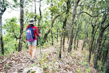 Young person hiking female walking on top rock, Backpack woman looking at beautiful mountain valley at sunlight in summer, Landscape with sport girl, high hills, forest, sky. Travel and tourism.