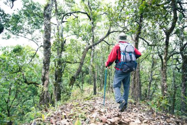 Man walking in forest. Young person hiking male on top rock, Backpack man looking at beautiful mountain valley at sunlight in summer, Landscape with sport man, high hills, sky. Travel and tourism.
