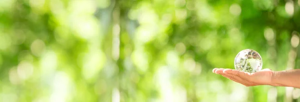 Human Hand Holding Globe Planet Glass Green Forest Bokeh Nature — Stockfoto