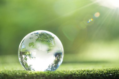 Globe planet glass In green forest with bokeh nature lights. world environment day. concept for environment conservation, protect ecology earth and environmental eco-friendly life with copy space
