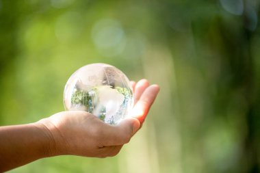 Human hand holding globe planet glass In green forest with bokeh nature lights. world environment day. concept for environment conservation, protect ecology earth and environmental eco-friendly life.