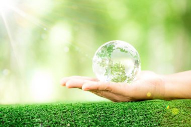 Human hand holding globe planet glass In green forest with bokeh nature lights. world environment day. concept for environment conservation, protect ecology earth and environmental eco-friendly life.