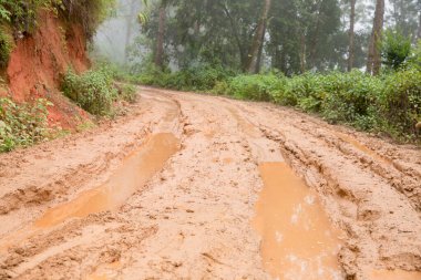 Muddy wet countryside road in Chiang Mai, northern of Thailand. track trail mud road in forest nature rural landscape. brown clay puddle way transport in country