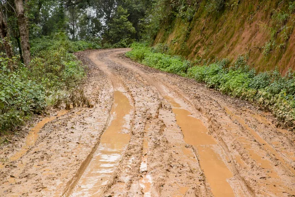 Muddy wet countryside road in Chiang Mai, northern of Thailand. track trail mud road in forest nature rural landscape. brown clay puddle way transport in country