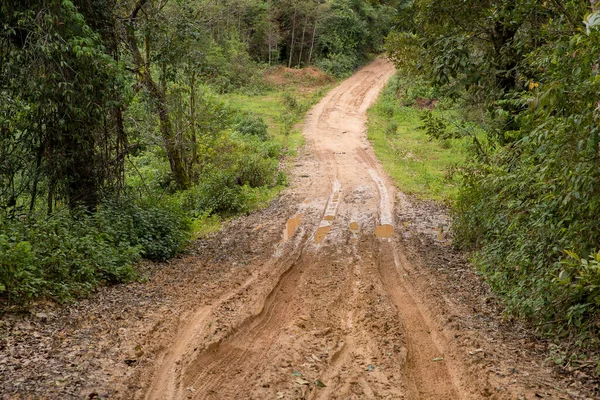 Muddy wet countryside road in Chiang Mai, northern of Thailand. track trail mud road in forest nature rural landscape. brown clay puddle way transport in country