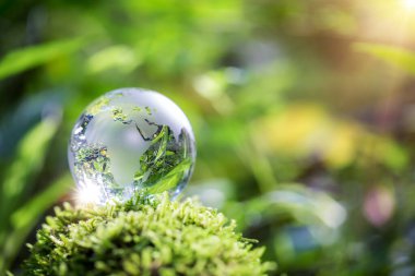 Globe planet glass In green forest with bokeh nature lights. world environment day. concept for environment conservation, protect ecology earth and environmental eco-friendly life with copy space