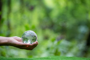 Human hand holding globe planet glass In green forest with bokeh nature lights. world environment day. concept for environment conservation, protect ecology earth and environmental eco-friendly life.