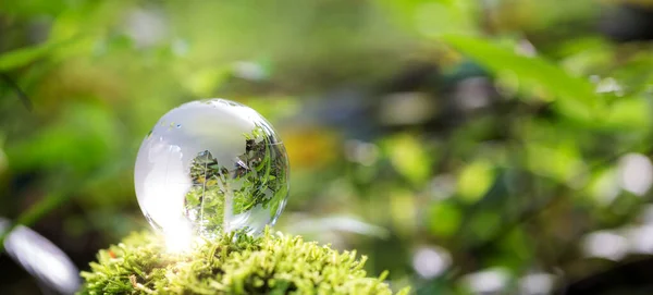 Globe planet glass in green forest with bokeh nature lights. world environment day. concept of environment conservation, protect ecology earth and environmental eco-friendly life banner and copy space