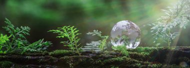 Globe planet glass in green forest with bokeh nature lights. world environment day. concept of environment conservation, protect ecology earth and environmental eco-friendly life banner and copy space