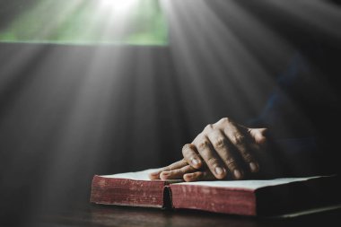 Hand folded in prayer to god on Holy Bible book in church concept for faith, spirituality and religion, woman person praying on holy bible in morning. christian catholic woman hand with Bible worship.