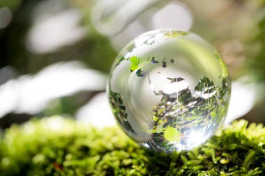 Globe planet glass In green forest with bokeh nature lights. world environment day. concept for environment conservation, protect ecology earth and environmental eco-friendly life with copy space