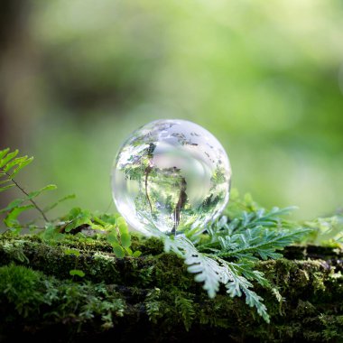Globe planet glass In green forest with bokeh nature lights. world environment day. concept for environment conservation, protect ecology earth and environmental eco-friendly life with copy space