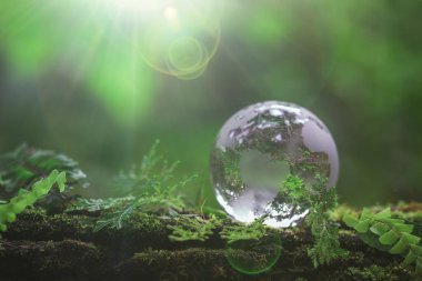Globe planet glass In green forest with bokeh nature lights. world environment day. concept for environment conservation, protect ecology earth and environmental eco-friendly life with copy space