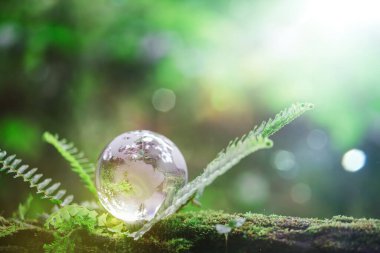 Globe planet glass In green forest with bokeh nature lights. world environment day. concept for environment conservation, protect ecology earth and environmental eco-friendly life with copy space