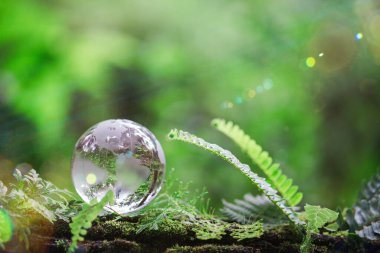 Globe planet glass In green forest with bokeh nature lights. world environment day. concept for environment conservation, protect ecology earth and environmental eco-friendly life with copy space