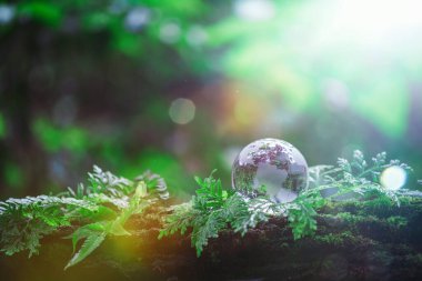 Globe planet glass In green forest with bokeh nature lights. world environment day. concept for environment conservation, protect ecology earth and environmental eco-friendly life with copy space