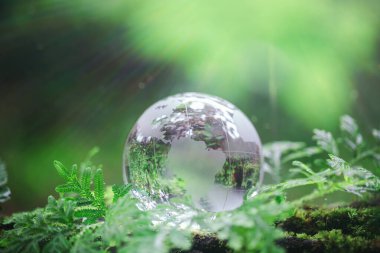 Globe planet glass In green forest with bokeh nature lights. world environment day. concept for environment conservation, protect ecology earth and environmental eco-friendly life with copy space