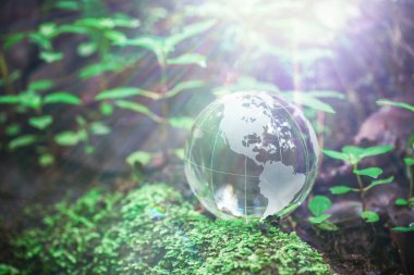 Globe planet glass In green forest with bokeh nature lights. world environment day. concept for environment conservation, protect ecology earth and environmental eco-friendly life with copy space
