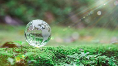 Globe planet glass In green forest with bokeh nature lights. world environment day. concept for environment conservation, protect ecology earth and environmental eco-friendly life with copy space