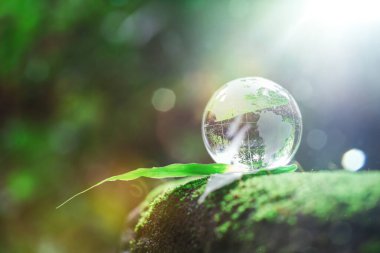 Globe planet glass In green forest with bokeh nature lights. world environment day. concept for environment conservation, protect ecology earth and environmental eco-friendly life with copy space