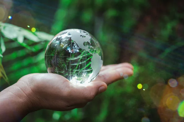 Human Hand Holding Globe Planet Glass Green Forest Bokeh Nature — Stockfoto