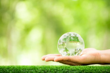 Human hand holding globe planet glass In green forest with bokeh nature lights. world environment day. concept for environment conservation, protect ecology earth and environmental eco-friendly life.