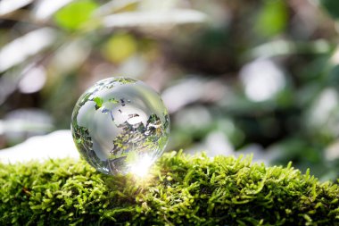 Globe planet glass In green forest with bokeh nature lights. world environment day. concept for environment conservation, protect ecology earth and environmental eco-friendly life with copy space