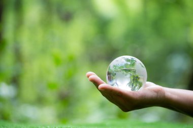 Human hand holding globe planet glass In green forest with bokeh nature lights. world environment day. concept for environment conservation, protect ecology earth and environmental eco-friendly life.