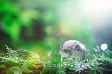Globe planet glass In green forest with bokeh nature lights. world environment day. concept for environment conservation, protect ecology earth and environmental eco-friendly life with copy space