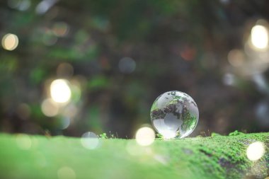 Globe planet glass In green forest with bokeh nature lights. world environment day. concept for environment conservation, protect ecology earth and environmental eco-friendly life with copy space
